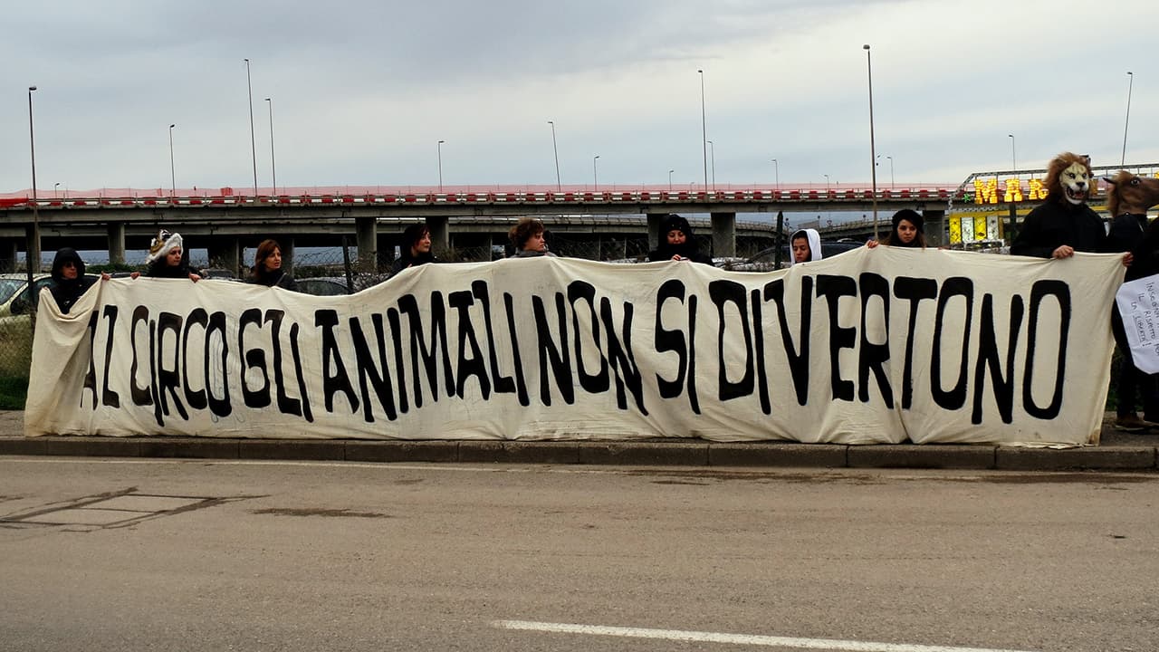 L'ultimo Spettacolo